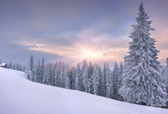 К чему снится белый снег?